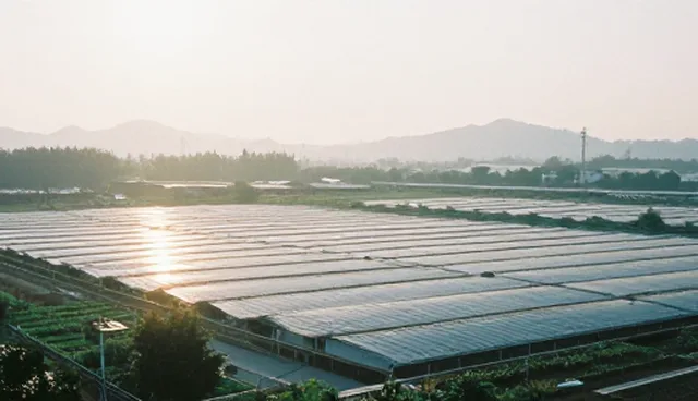 从信息发布到信息展示:系统维护中的关键环节