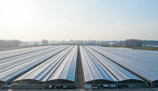 摄影网站建设，系统整合助力产品供求信息发布