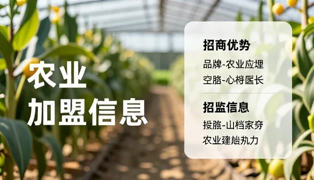 招商加盟信息展示需关注适用条件